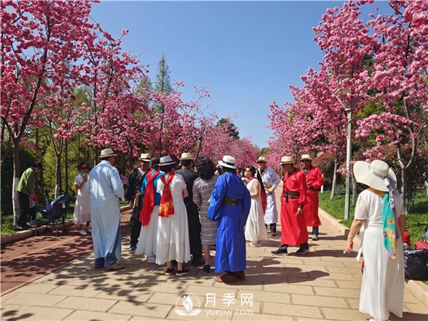 定位为月季主题公园，昆明呈贡区将集中打造彩云公园(图1)