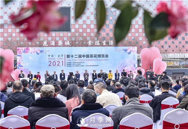 第十二届中国茶花博览会在浙江金华开幕(图1)