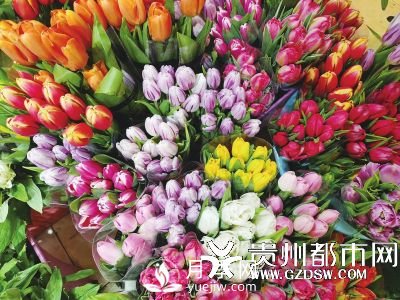 贵阳近期鲜花涨价 玫瑰花卖到70元一把(图1)