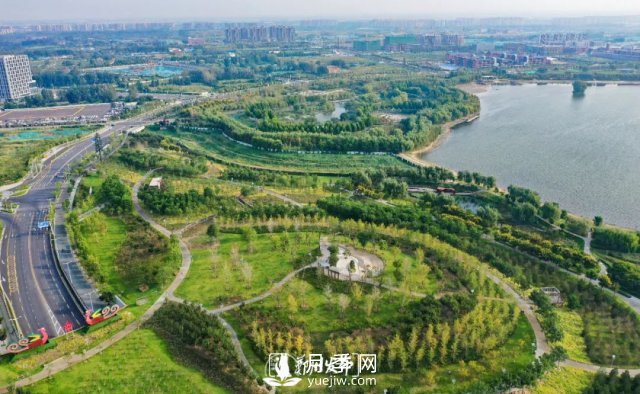3.13万亩！2021年郑州绿化目之所及皆是绿(图1)