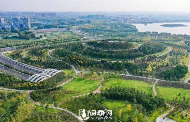 3.13万亩！2021年郑州绿化目之所及皆是绿(图3)
