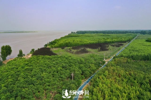 3.13万亩！2021年郑州绿化目之所及皆是绿(图4)