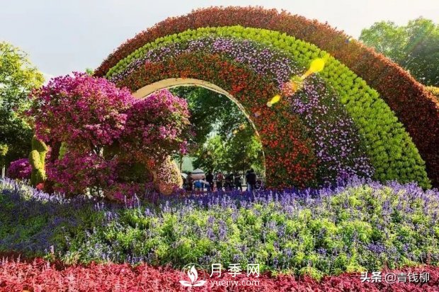 北京重大节日立体花坛的应用(图2)