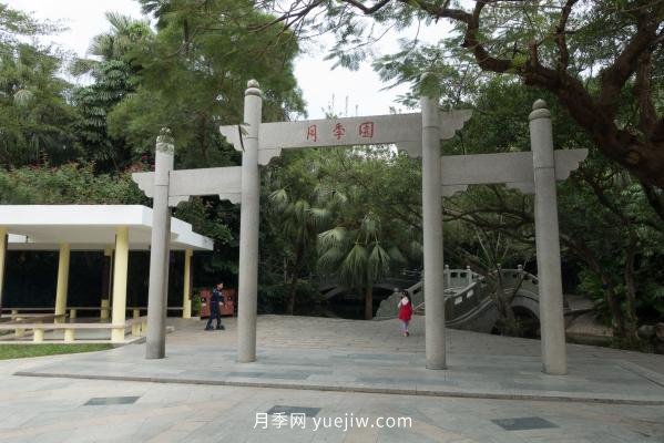 深圳人民公园要打造世界一流月季园(图1)
