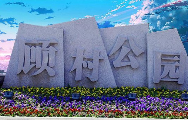 上海顾村公园500多亩月季正处盛花期，5.1期间置身于月季花海(图2)