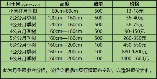 1-10公分月季树价格是多少？树状月季5月报价单！(图1)
