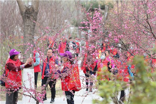 北京大兴区“走进魏善庄 相约月季花开”徒步活动成功举办(图3)