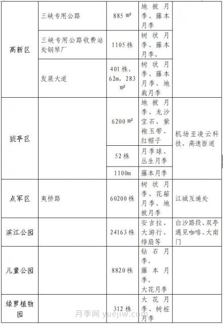 四月盛放的月季时间，湖北宜昌给你的专属浪漫花园(图10)