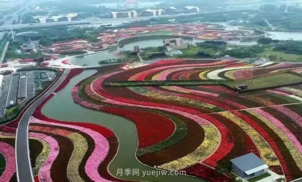 第十二届南阳月季花会4月29日开幕，花事活动提前报(图1)