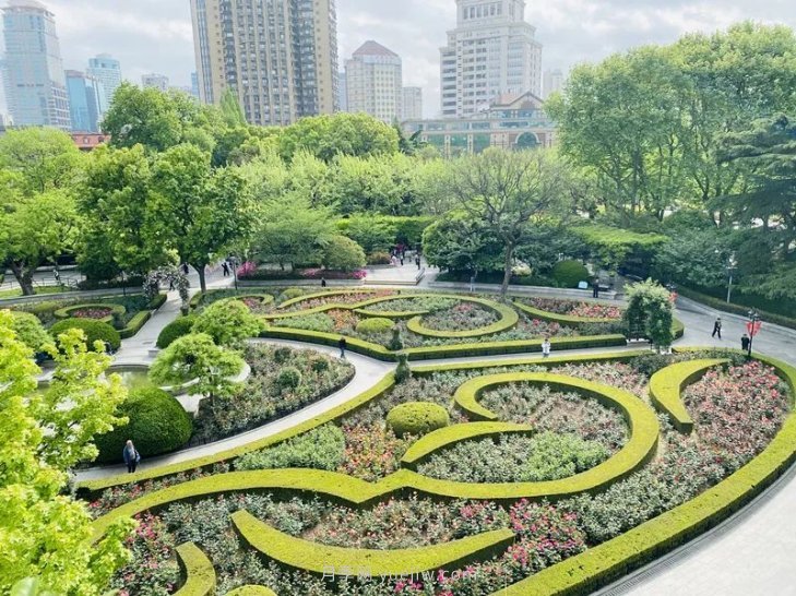 上海复兴公园月季园，月季花开献给市民的视觉盛宴(图2)