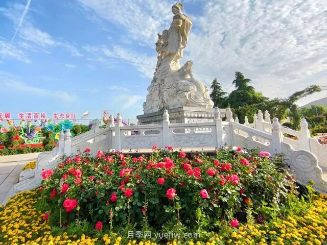 南阳月季博览园，6月份全月免门票！(图2)