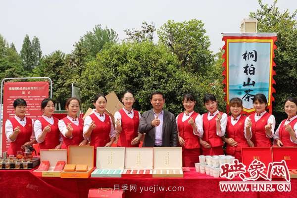 南阳桐柏:茶业红火 茶人欢笑(图2) 南阳桐柏:茶业红火 茶人欢笑(图2)