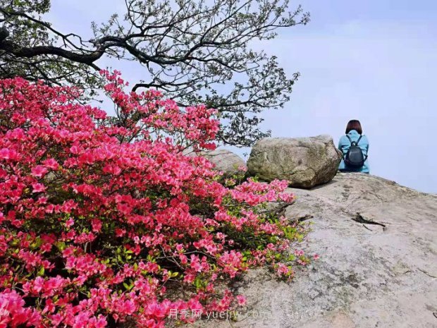 南阳桐柏：红绿旅游总相宜(图2)