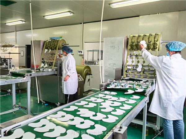 紧盯艾产业全链条，剑指300亿产值，南阳艾产业发展走上快车道(图2)