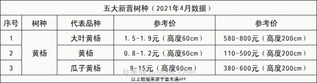 春季最近一个月成交量最高的十大苗木排行榜(图11)