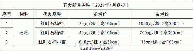 春季最近一个月成交量最高的十大苗木排行榜(图4)