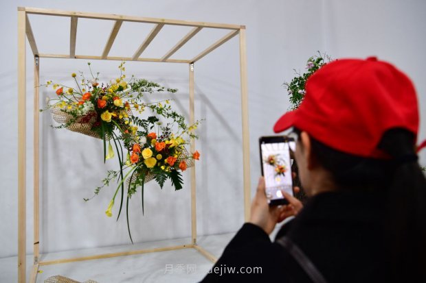 ***走进这片花海,南阳月季产业生态富民(图6) ***走进这片花海,南阳月季产业生态富民(图6)