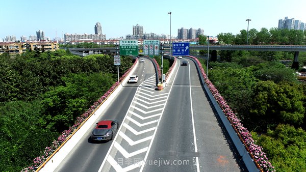 百个景点、百条花道、百里花带……未来几月,上海繁花似锦(图10) 百个景点、百条花道、百里花带……未来几月,上海繁花似锦(图10)