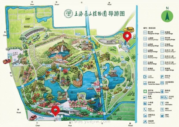 辰山植物园 现代月季之路(图12)