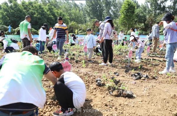 漯河城管园林科研所，邀请400余位市民花田体验栽花(图3)