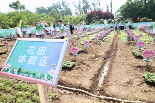 漯河城管园林科研所，邀请400余位市民花田体验栽花(图1)