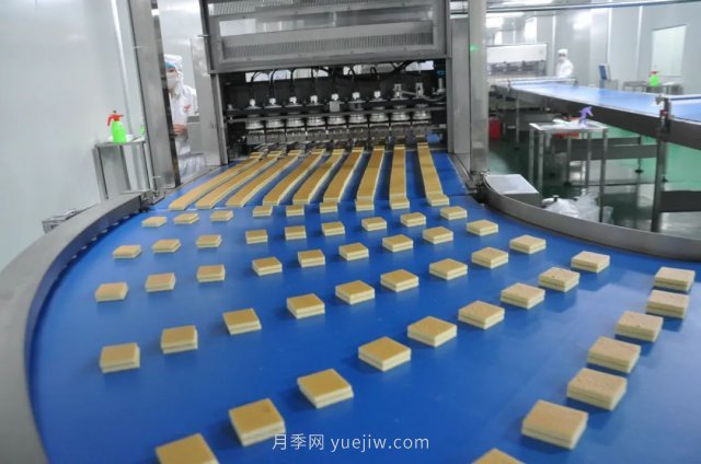 漯河打造农业全产业链,实现航母级产业(图3) 漯河打造农业全产业链,实现航母级产业(图3)