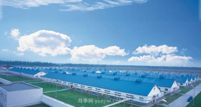 漯河打造农业全产业链,实现航母级产业(图2) 漯河打造农业全产业链,实现航母级产业(图2)