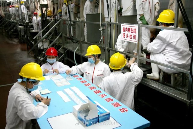 漯河打造农业全产业链,实现航母级产业(图4) 漯河打造农业全产业链,实现航母级产业(图4)