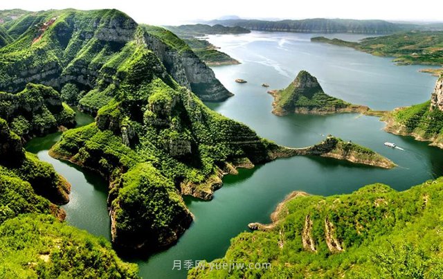 河南已逐步形成中部野生动植物“基因宝库”(图1)