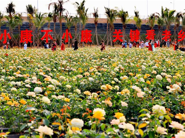 住宅区景观设计，道路植物如何搭配(图1)