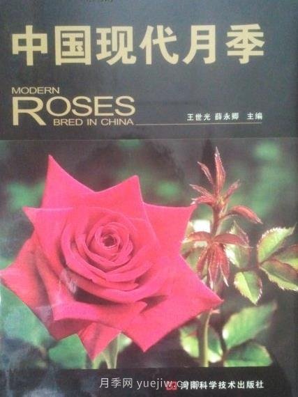 月季图书：王世光，薛永卿《中国现代月季》(图1)