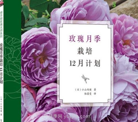 月季图书：小山内健《玫瑰月季栽培12月计划》(图1)