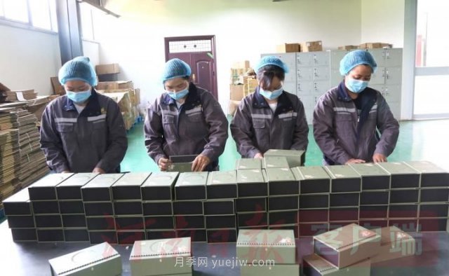 洛阳汝阳：发展艾草产业 助力乡村振兴(图2)