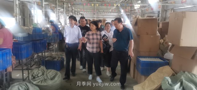 河南省林业局到桐柏县调研艾草产业(图3)