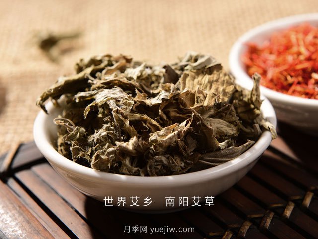 宛艾！南阳艾草产业志在出圈，怎借东风成就世界艾乡？(图2)