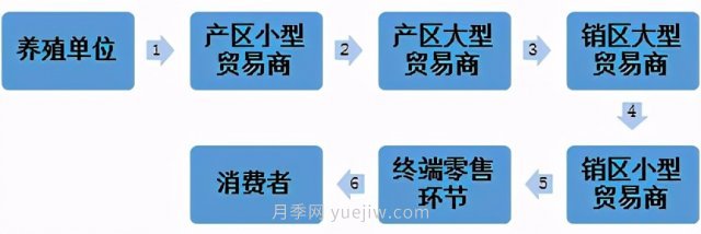 电商平台：鸡蛋销售新渠道(图1)