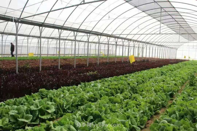 突出特色优势产业 河北省实施农业生产“三品一标”提升行动(图1) 突出特色优势产业 河北省实施农业生产“三品一标”提升行动(图1)