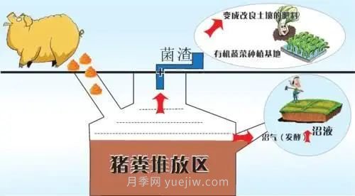 中国生态农业的主要模式(图2) 中国生态农业的主要模式(图2)