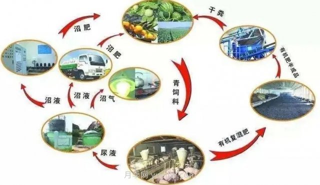 中国生态农业的主要模式(图3) 中国生态农业的主要模式(图3)