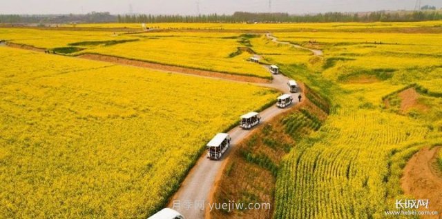 河北高质量建设现代农业产业园(图3)