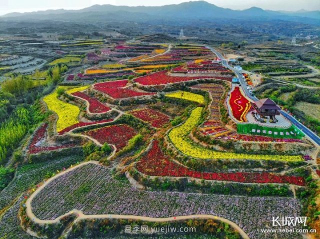 河北高质量建设现代农业产业园(图2)