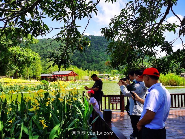 南宁青秀山景区推出水生花卉观赏季(图3)