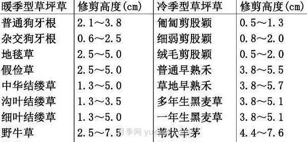 景观草坪修剪全攻略，实用干货分享(图2)