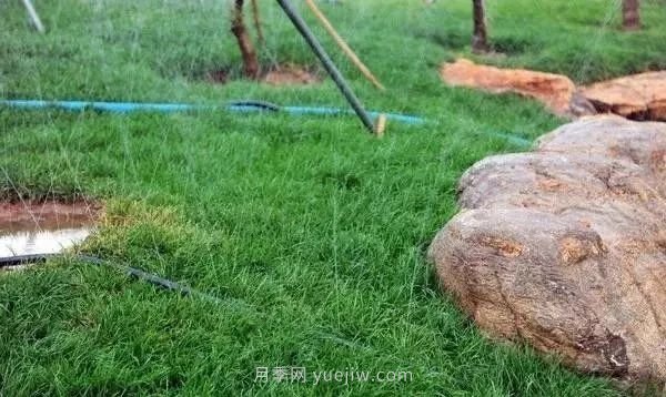 园林常用的4种节水灌溉技术(图1) 园林常用的4种节水灌溉技术(图1)