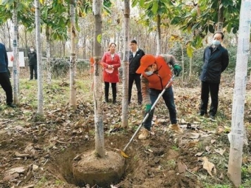 西安周至：小苗木撑起致富增收大产业播