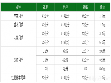 月季花多少钱一株？月季花的繁殖方法和养殖方法