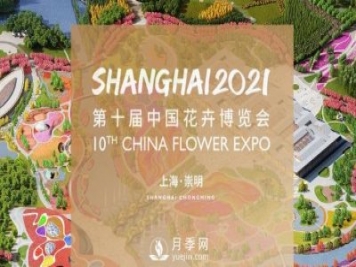 5月，第十届中国花博会将在崇明拉开帷幕