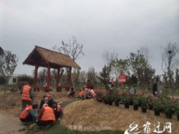 醉美泗阳,月季花海，第十一届中国月季展览会4月28日开幕