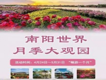 第十二届南阳月季花会4月29日开幕，活动丰富多彩