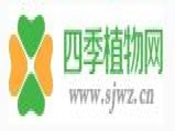 四季植物网